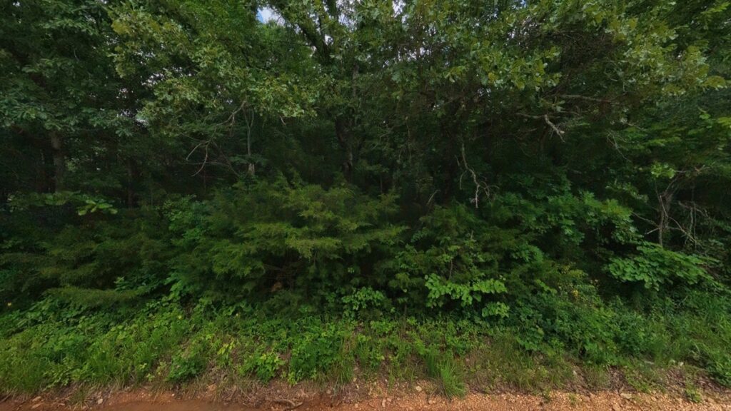 58f98076-4c9b-4a09-b75f-a9b6c10b49b8.jpg