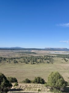 Property photo for land for sale in Rio Arriba County New Mexico