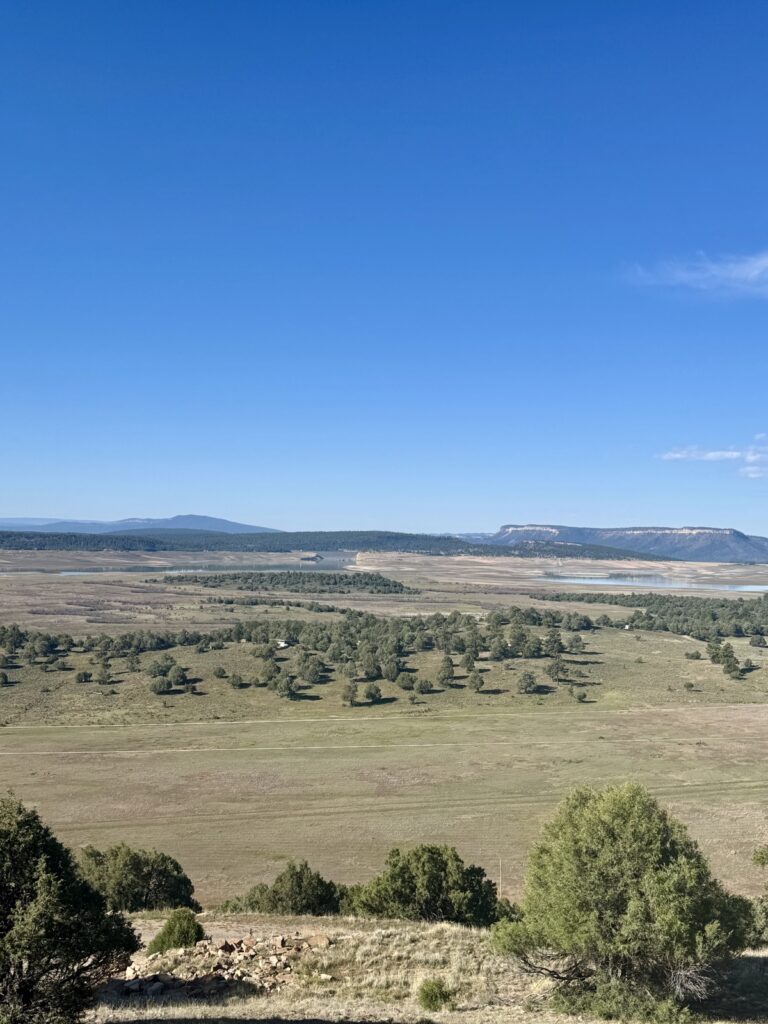 Property photo for land for sale in Rio Arriba County New Mexico