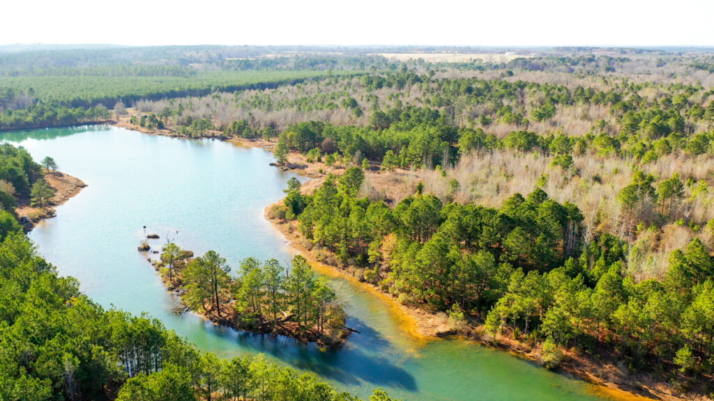 Property photo for land for sale in Marion County Texas