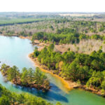 Property photo for land for sale in Marion County Texas