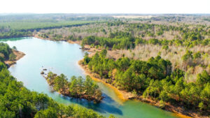 Property photo for land for sale in Marion County Texas