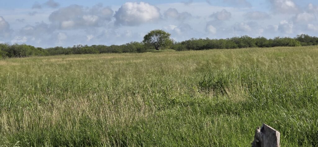 Property photo for land for sale in Jim Wells County Texas