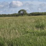 Property photo for land for sale in Jim Wells County Texas