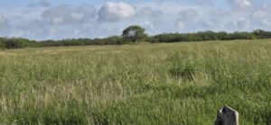 Property photo for land for sale in Jim Wells County Texas