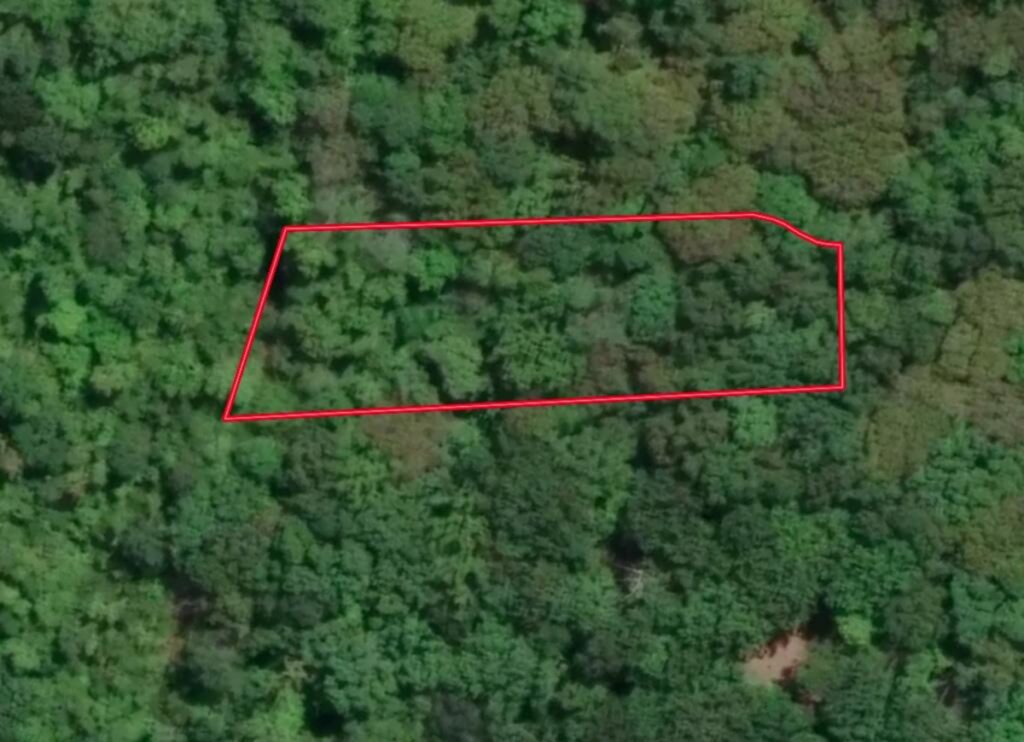 Property photo for land for sale in Mecklenburg County Virginia