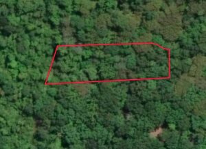 Property photo for land for sale in Mecklenburg County Virginia