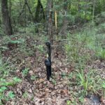 Property photo for land for sale in  County Texas