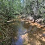 Property photo for land for sale in Autauga County Alabama