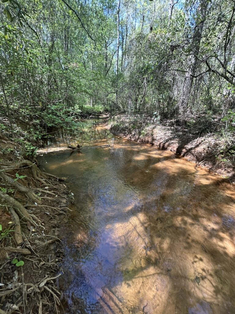 Property photo for land for sale in Autauga County Alabama
