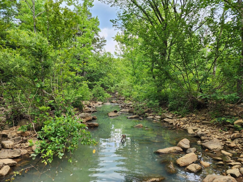 Property photo for land for sale in Le Flore County Oklahoma