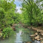 Property photo for land for sale in Le Flore County Oklahoma