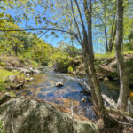 Property photo for land for sale in Cumberland County Maine