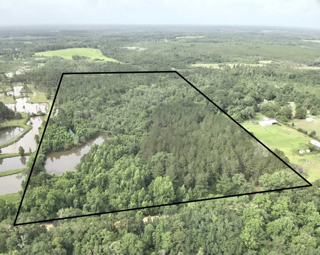 Property photo for land for sale in Geneva County Alabama