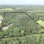 Property photo for land for sale in Geneva County Alabama