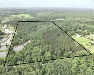 Property photo for land for sale in Geneva County Alabama