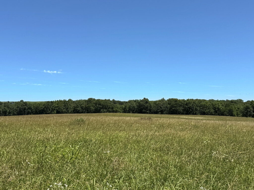 693a59e3-35bf-414e-b6c5-6e82ec977fc9.jpg