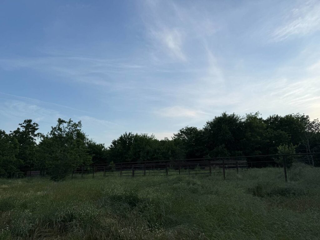 694b8103-f978-4b13-8fc3-fa244f876d74.jpg
