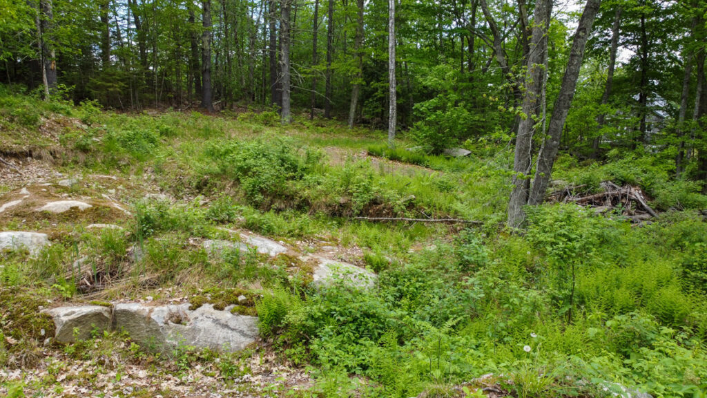 69809318-0d9f-4134-8934-5ac73f545a6a.jpg