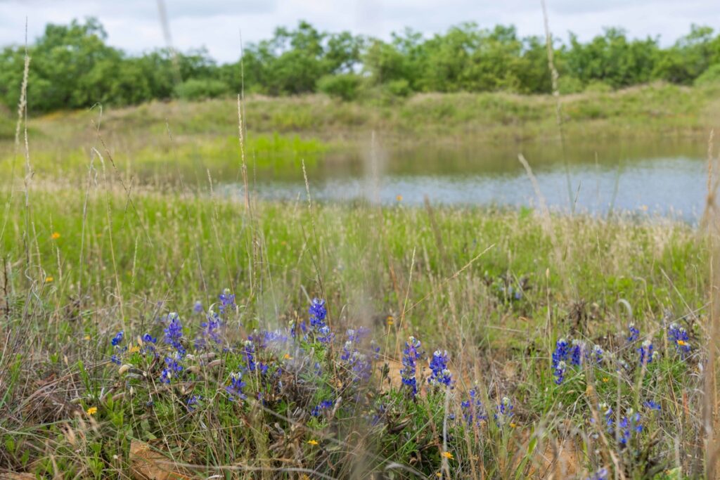 6999d153-e0b6-4541-b3fe-c405e9029aa0.jpg