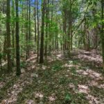 Property photo for land for sale in Panola County Texas