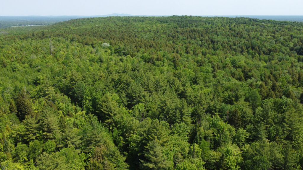 Property photo for land for sale in Penobscot County Maine