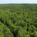 Property photo for land for sale in Penobscot County Maine