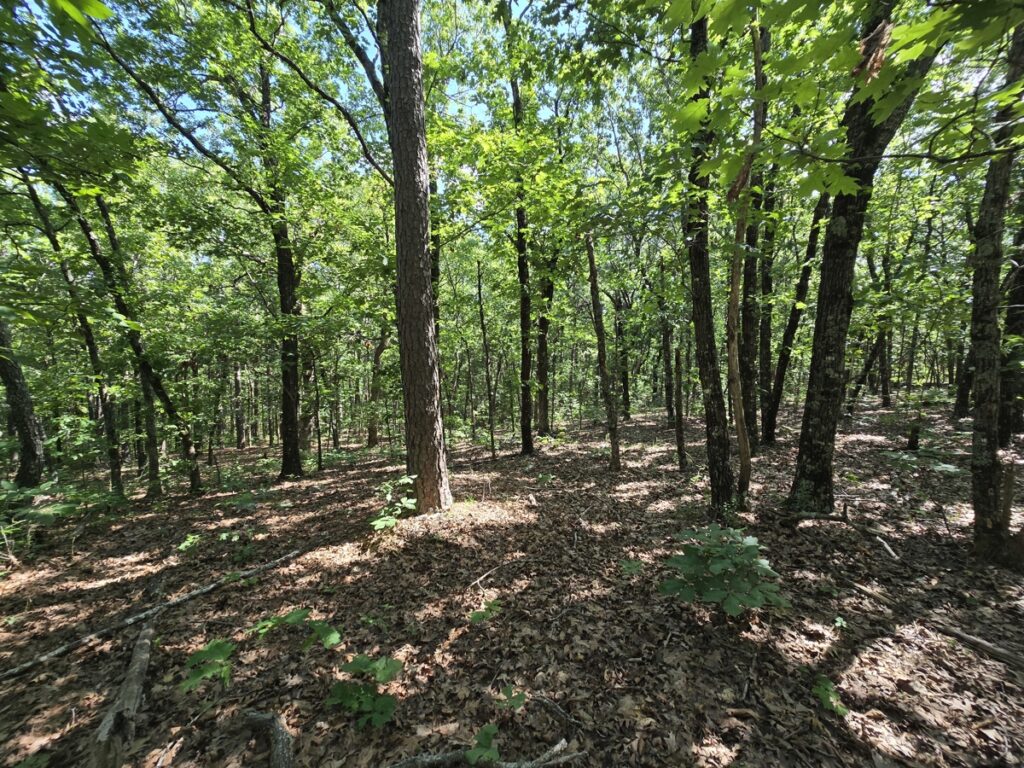 Property photo for land for sale in Le Flore County Oklahoma