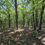 Property photo for land for sale in Le Flore County Oklahoma