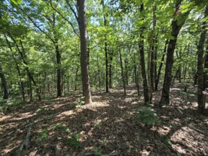 Property photo for land for sale in Le Flore County Oklahoma