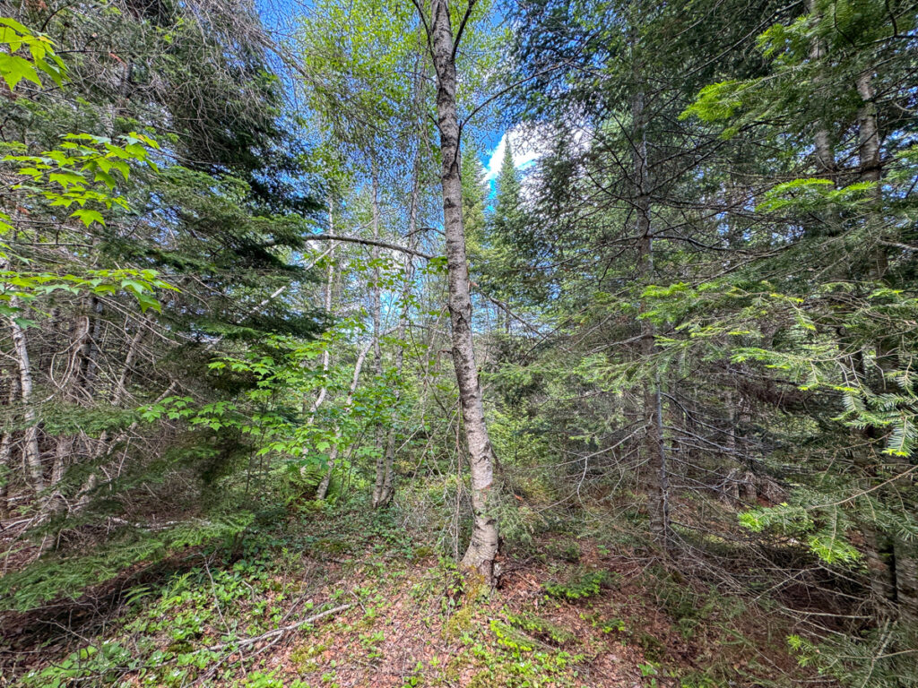 6e39ffa9-2400-4081-9c23-ebd1b20bfe0f.jpg