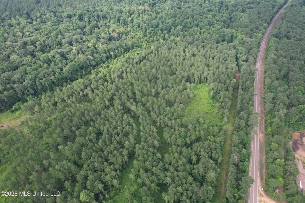 Property photo for land for sale in Amite County Mississippi