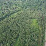 Property photo for land for sale in Amite County Mississippi