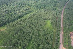 Property photo for land for sale in Amite County Mississippi