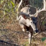 Property photo for land for sale in Alexander County North Carolina