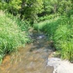 Property photo for land for sale in Vernon County Wisconsin