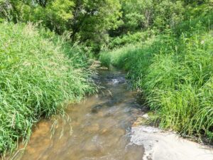 Property photo for land for sale in Vernon County Wisconsin