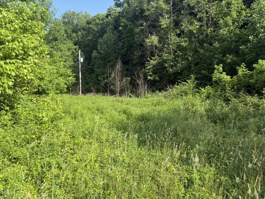 Property photo for land for sale in Casey County Kentucky
