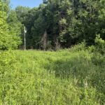 Property photo for land for sale in Casey County Kentucky
