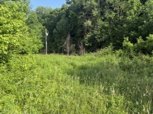 Property photo for land for sale in Casey County Kentucky