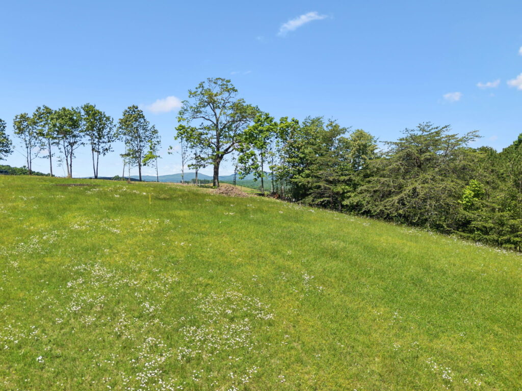 Property photo for land for sale in Rhea County Tennessee