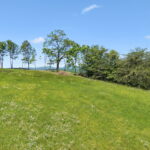 Property photo for land for sale in Rhea County Tennessee