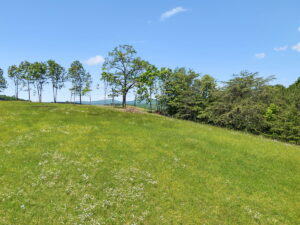 Property photo for land for sale in Rhea County Tennessee