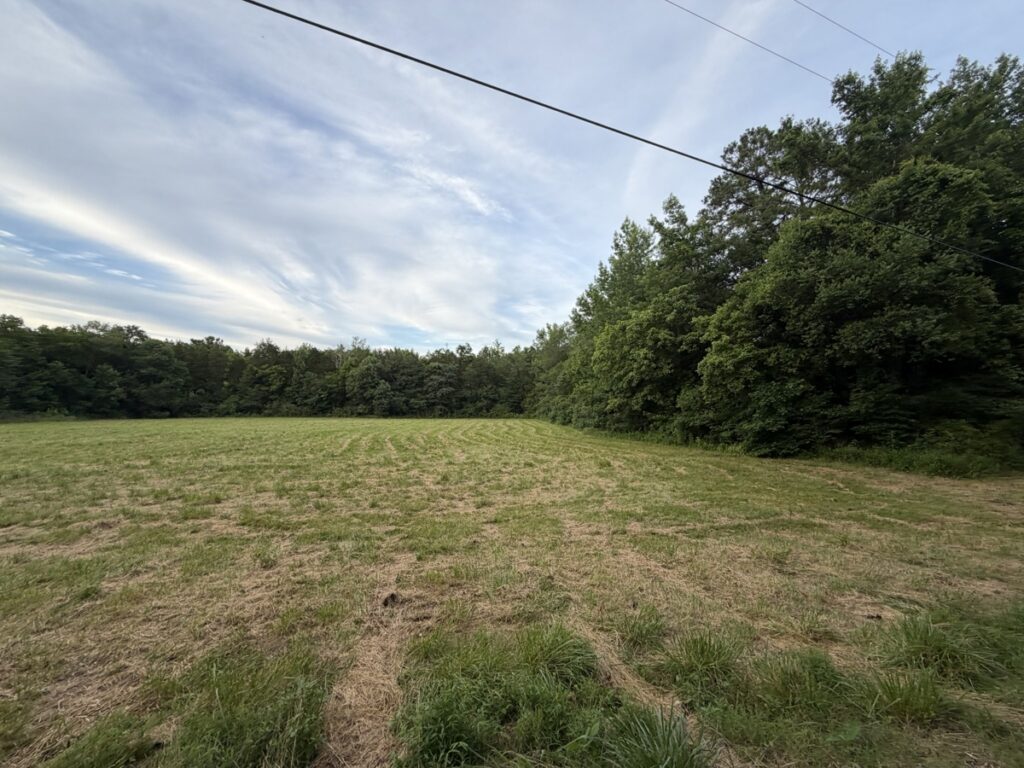 7120d78d-2452-484a-ab3c-82f9443727df.jpg