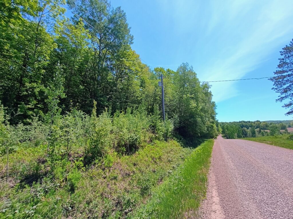 7136e7d6-f049-40fb-9b20-c402b6685538.jpg