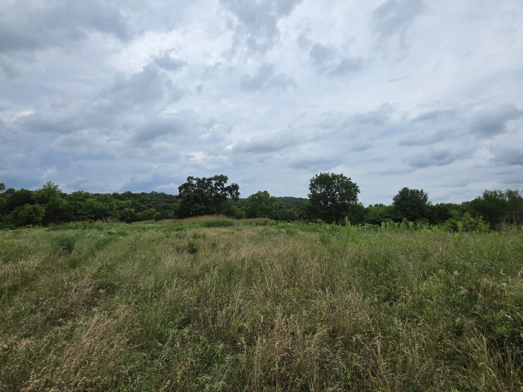 721f0529-cd5a-44eb-845a-2ced39760af5.jpg