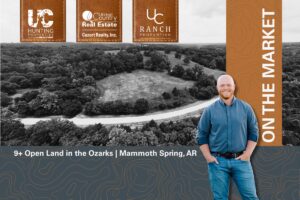 Property photo for land for sale in Fulton County Arkansas