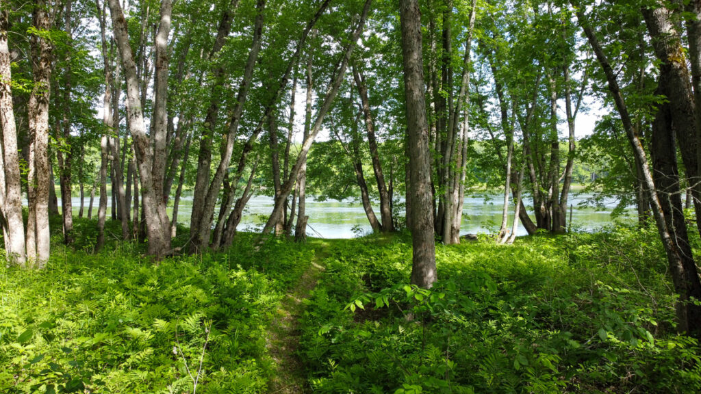 72cedd02-2007-4f22-a5d1-b31a5c04f887.jpg