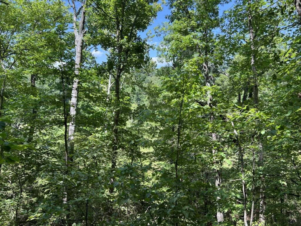 73d7ae43-e0f6-472e-ad62-e96279cea933.jpg