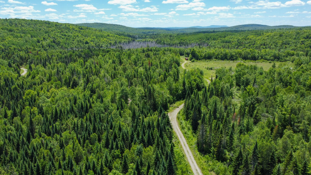 Property photo for land for sale in Penobscot County Maine